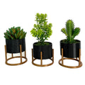 Trio de Vasos Cachepot com Suporte Para Cactos ou Suculentas